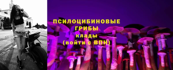 прущая мука Заволжье