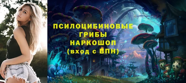 apvp Касимов