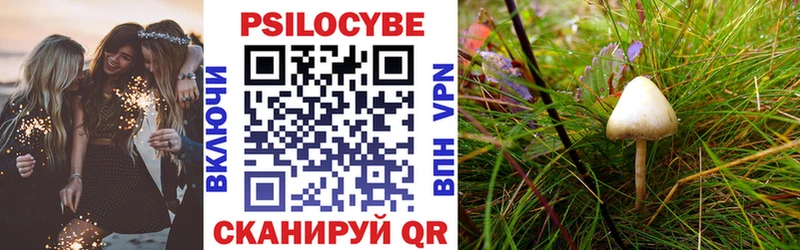 Галлюциногенные грибы Magic Shrooms  Купить закладки  Иннополис 